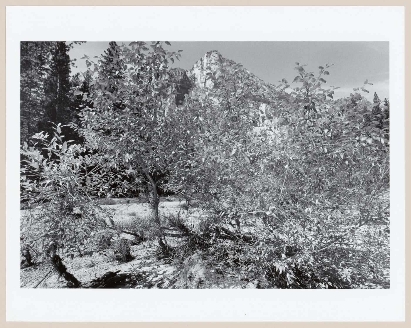 Yosemite Valley, California