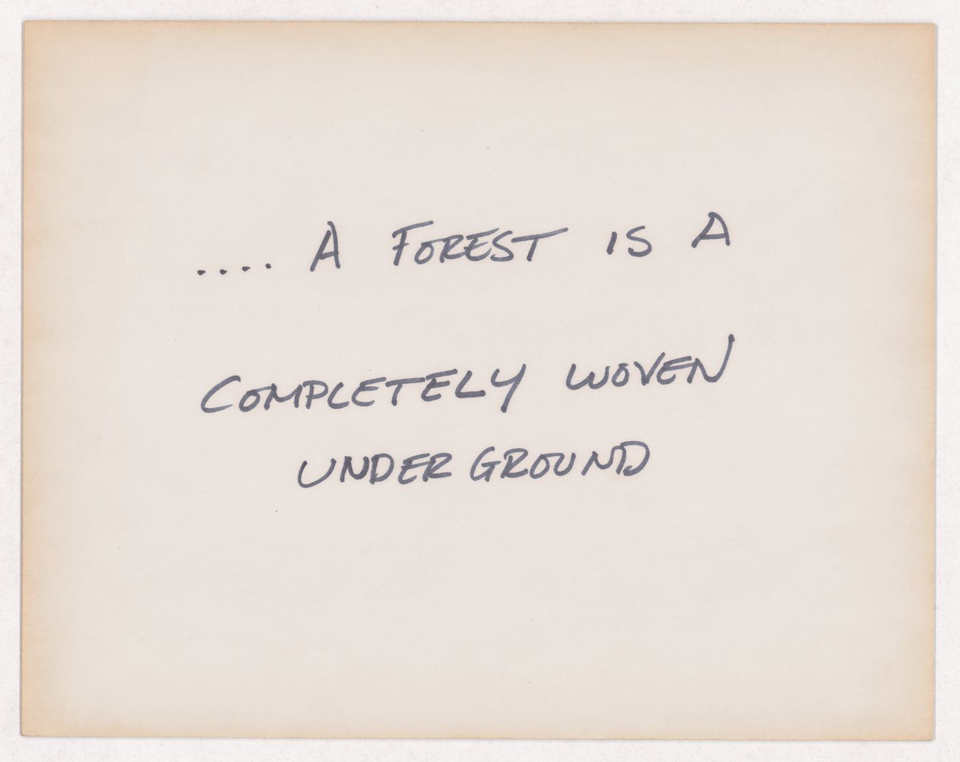 ...A forest is a  completely woven underground