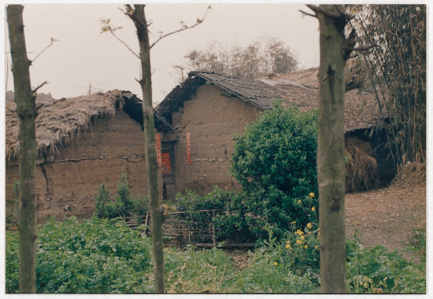 View of rural houses in Sichuan province, China