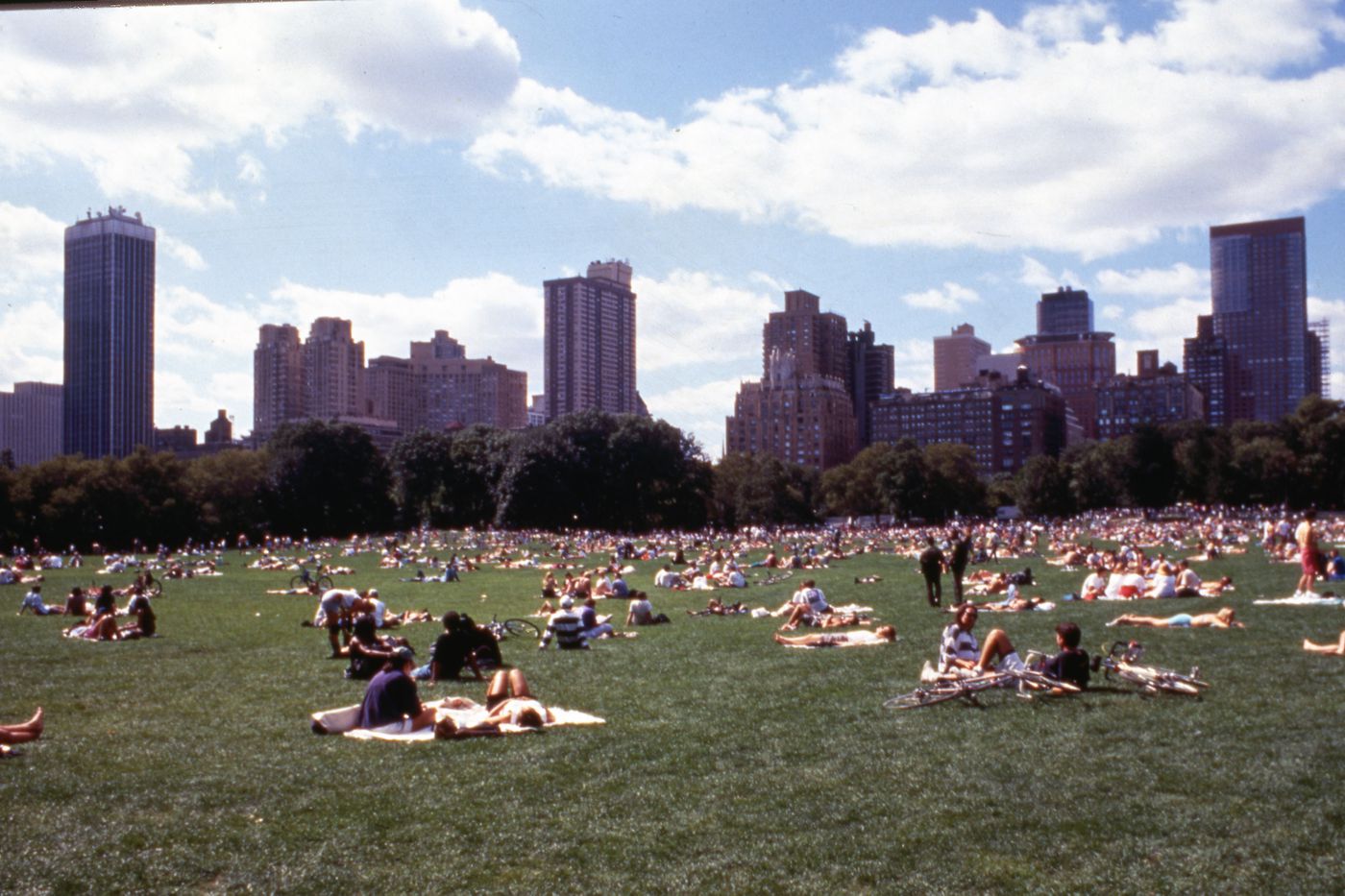 Photograph of Central Park for research for Olmsted: L'origine del parco urbano e del parco naturale contemporaneo