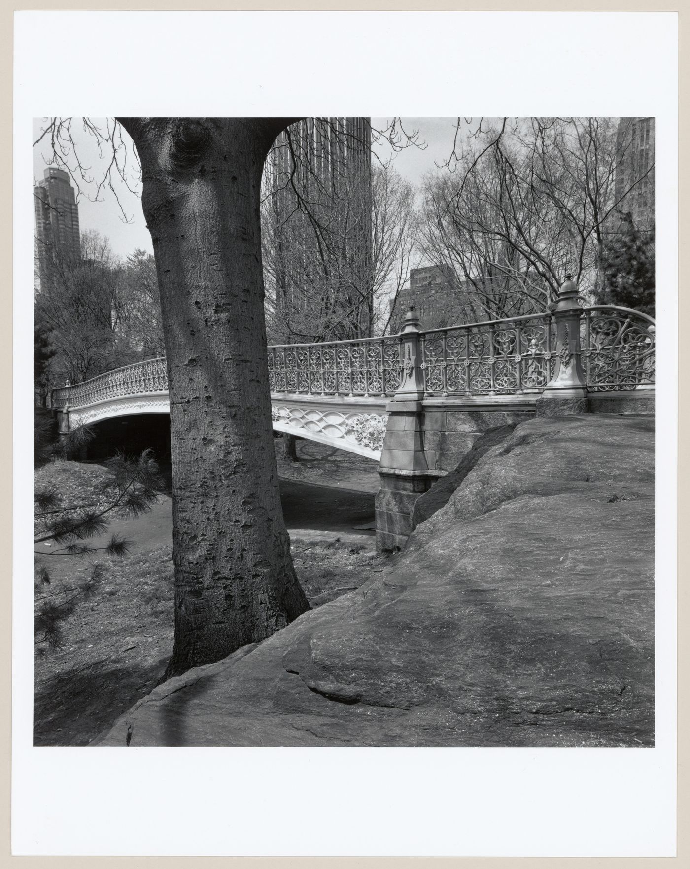 Central Park, New York, New York