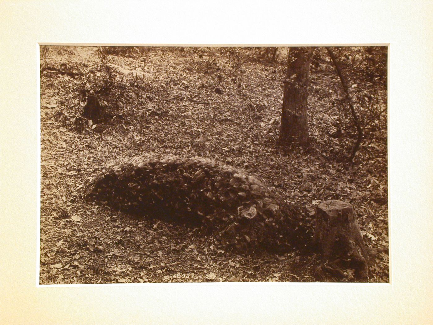 View of St. Anns Hill, Monks Grave, Chertsey, England