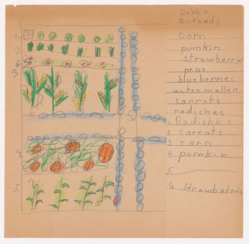 Child's drawing and list for the ideal fruits and vegetables garden