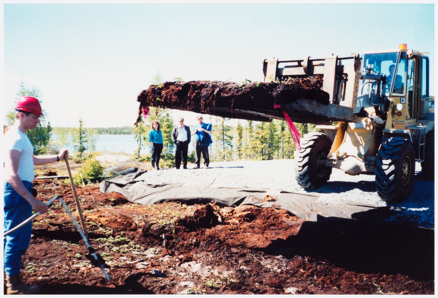 Photographs 3 and 4, transplanting test mat, Northwest Territories Legislative Assembly Building, Yellowknife, Northwest Territories