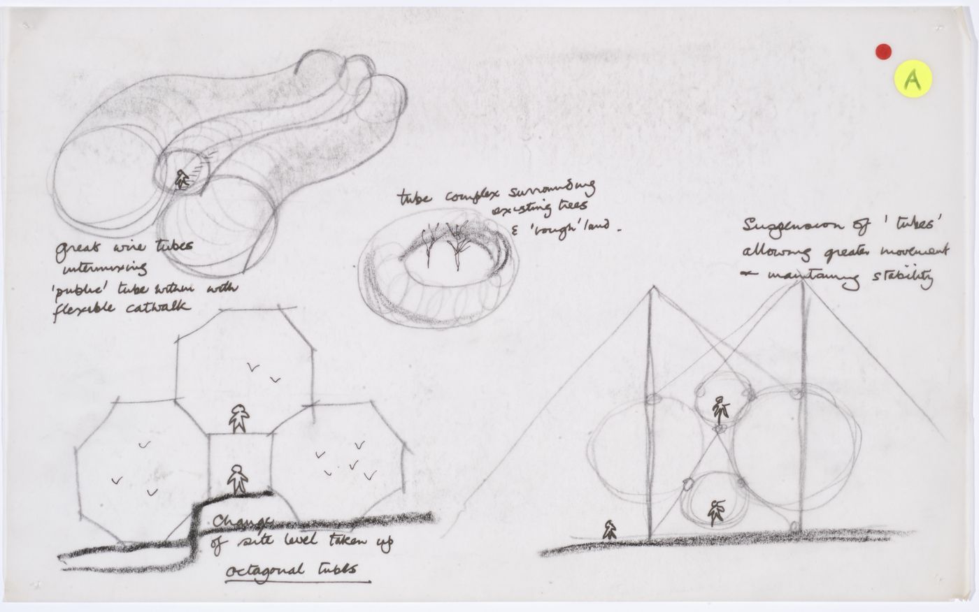 London Zoo Aviary, Regent's Park, London, England: studies