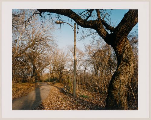 Viewing Olmsted: View of Walkway on south part of island, Jackson Park, Chicago, Illinois