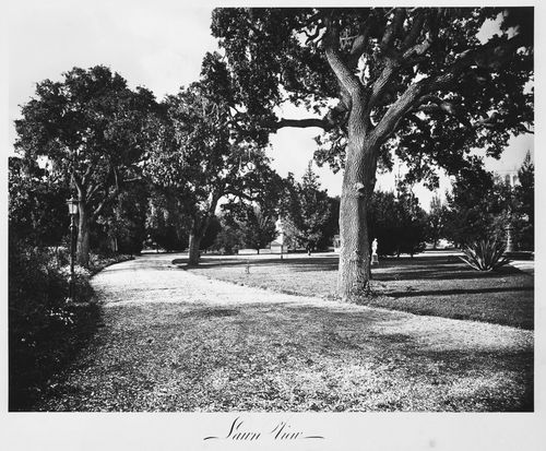 View of the estate grounds, Thurlow Lodge, Menlo Park, California