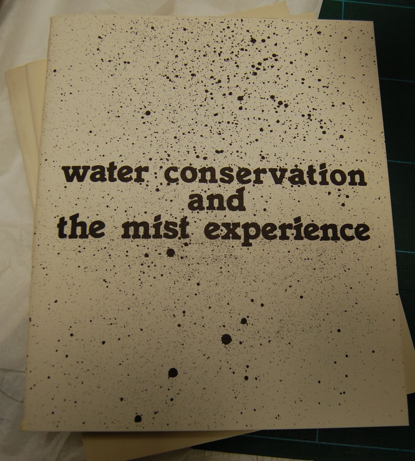Water Conservation and the Mist Experience