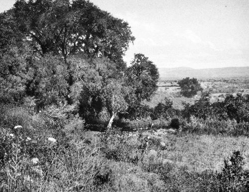 View of an archeological site near the Dead Sea, Israel