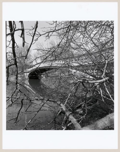 Central Park, New York, New York