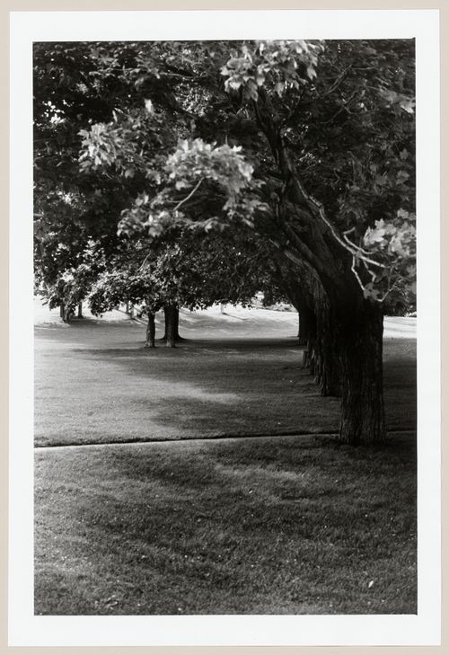 View of Murray Park, Westmount, Québec