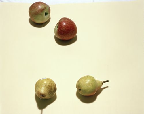 Nature Morte with Apple and Pears from Conad