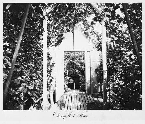View of the hot house, Thurlow Lodge, Menlo Park, California