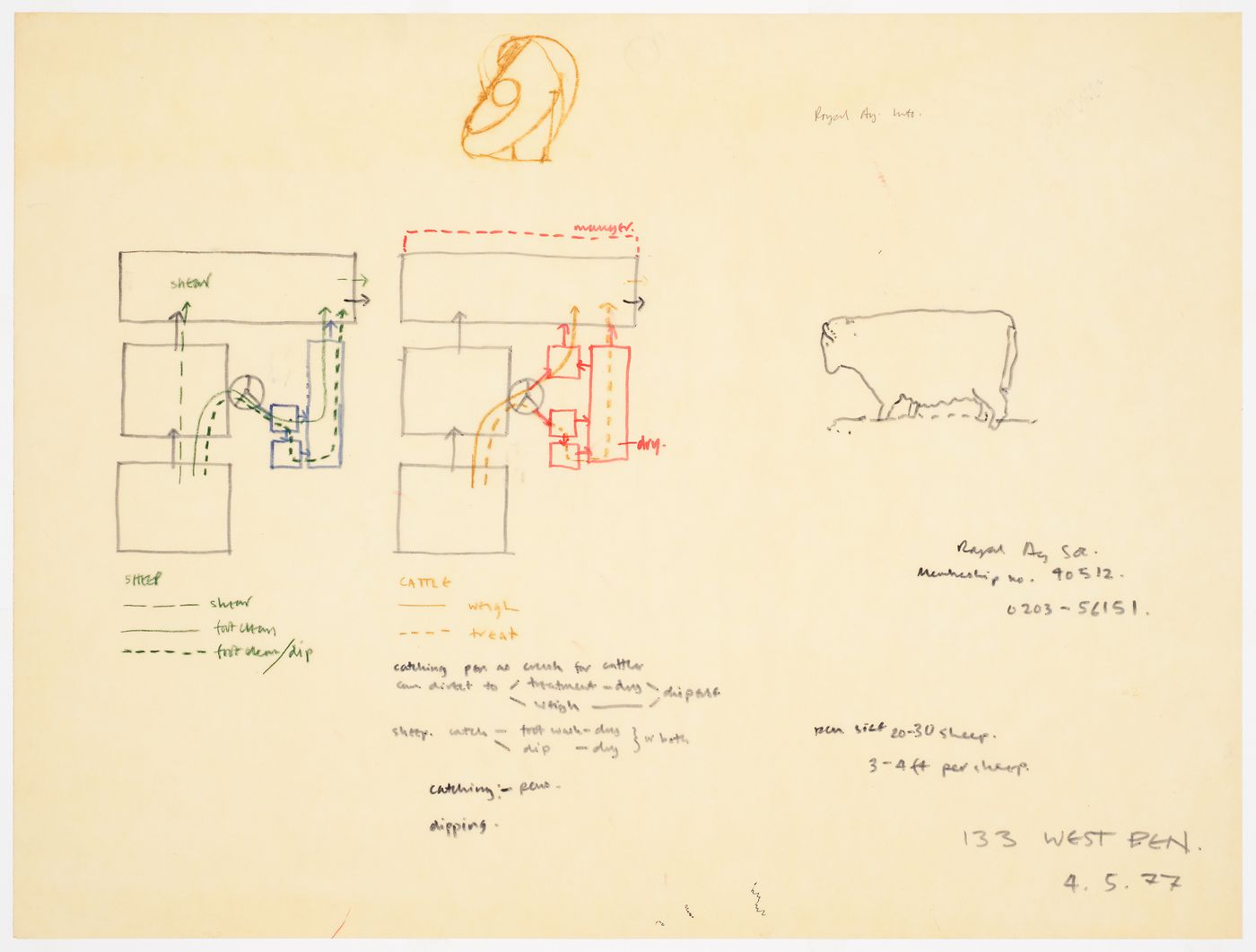 Westpen: diagrammatic sketches showing movement of cattle and sheep through the pen