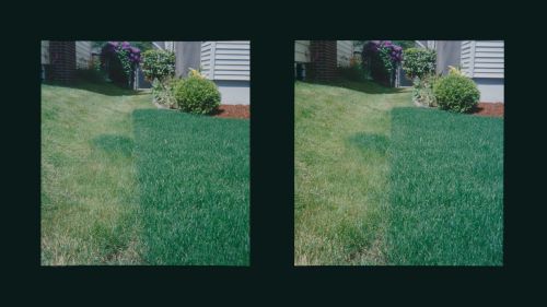 View of 431-433 Tillanook Street, Hollywood, Oregon, United States, from the series "Neighbors"