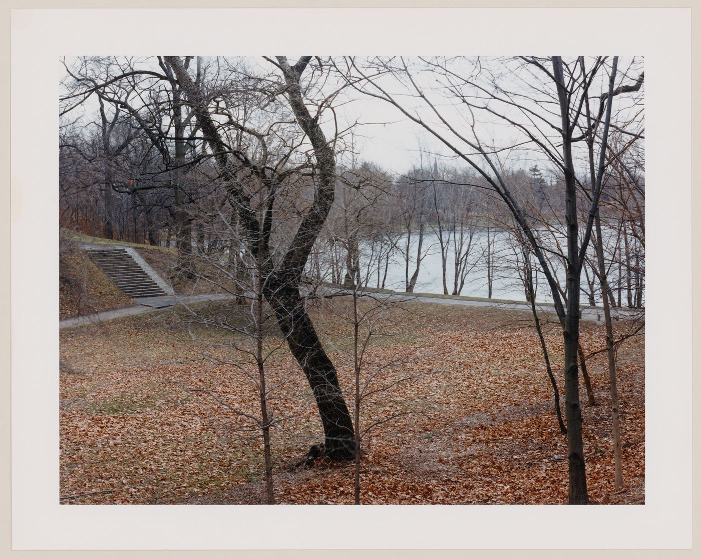 Viewing Olmsted: View of Jamaica Pond, Jamaica Park, Boston, Massachusetts