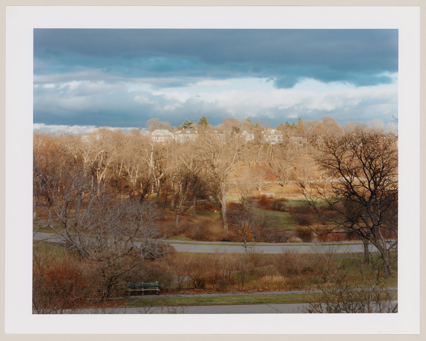 Viewing Olmsted: View from Bussey Hill, Arnold Arboretum, Boston, Massachusetts