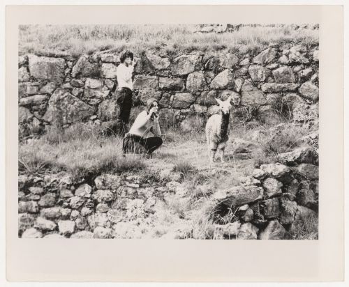 Gordon Matta-Clark and companion looking at a lama, South America