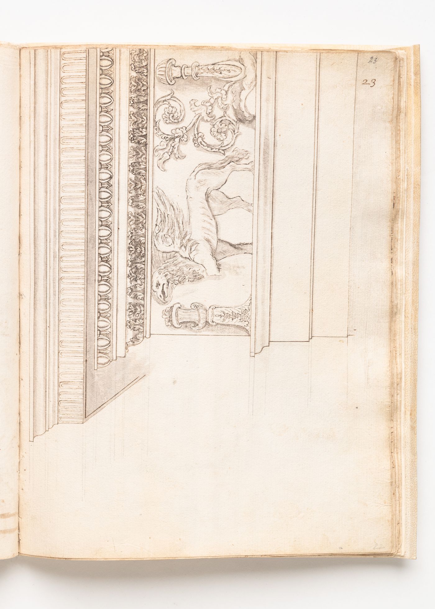 Detail of Griffin Frieze from the east wall of the Cella of the Temple of Antoninus Pius and Faustina, Rome