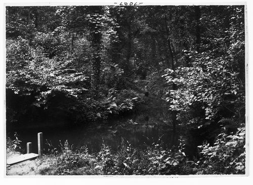 The pool in the wood, Colwyn Bay, Wales