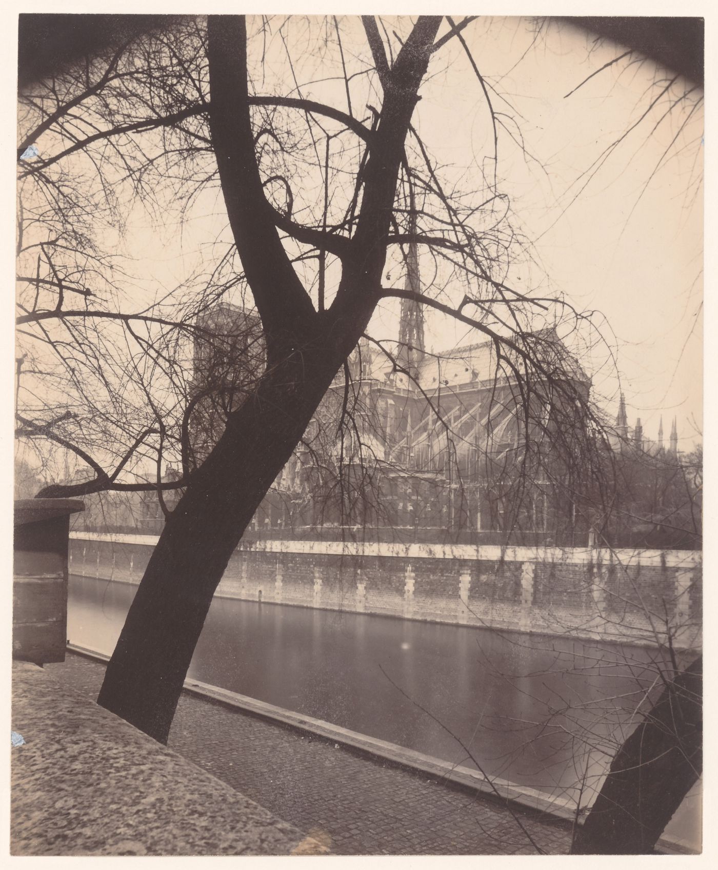 Notre-Dame, from across the Seine on the bank, Paris, France