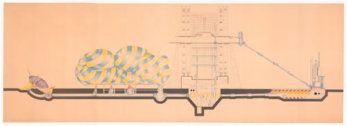 Longitudinal section for Piper