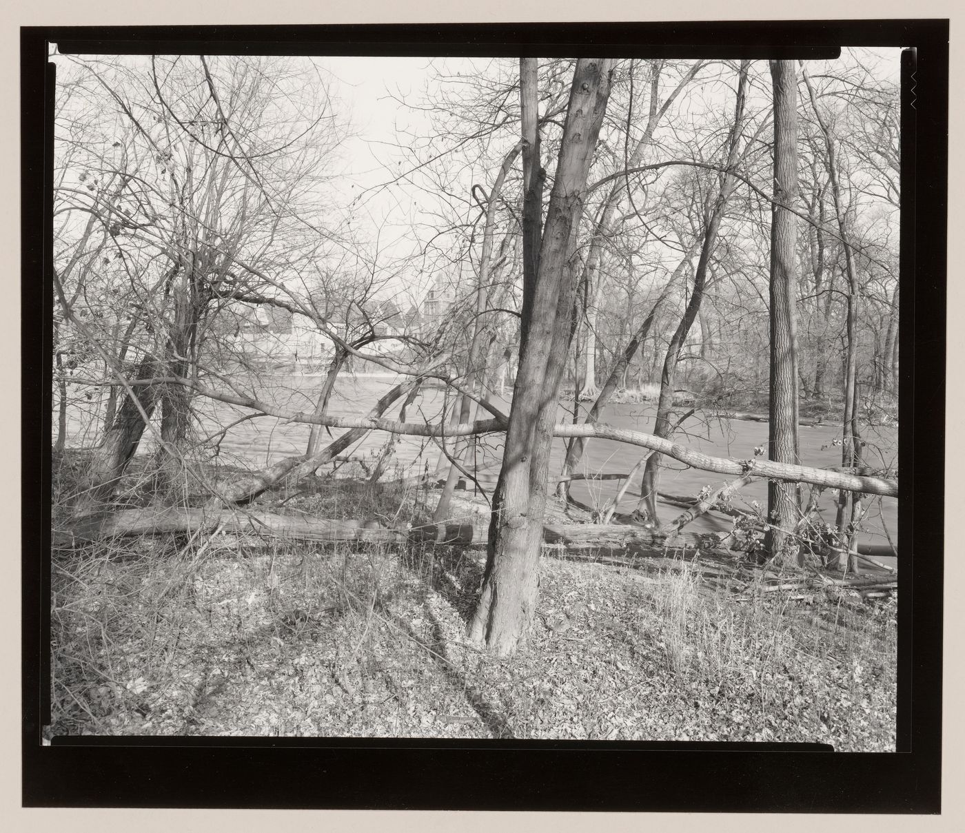 Overlooking the Park, Riverside Park, Riverside, Illinois
