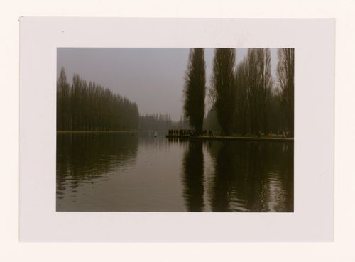 Reflet de peuplier droit, Parc de Sceaux, France