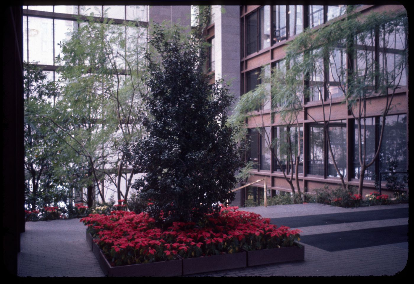 Garden atrium of the Ford Foundation in New York, precedent for the Bank of Canada design