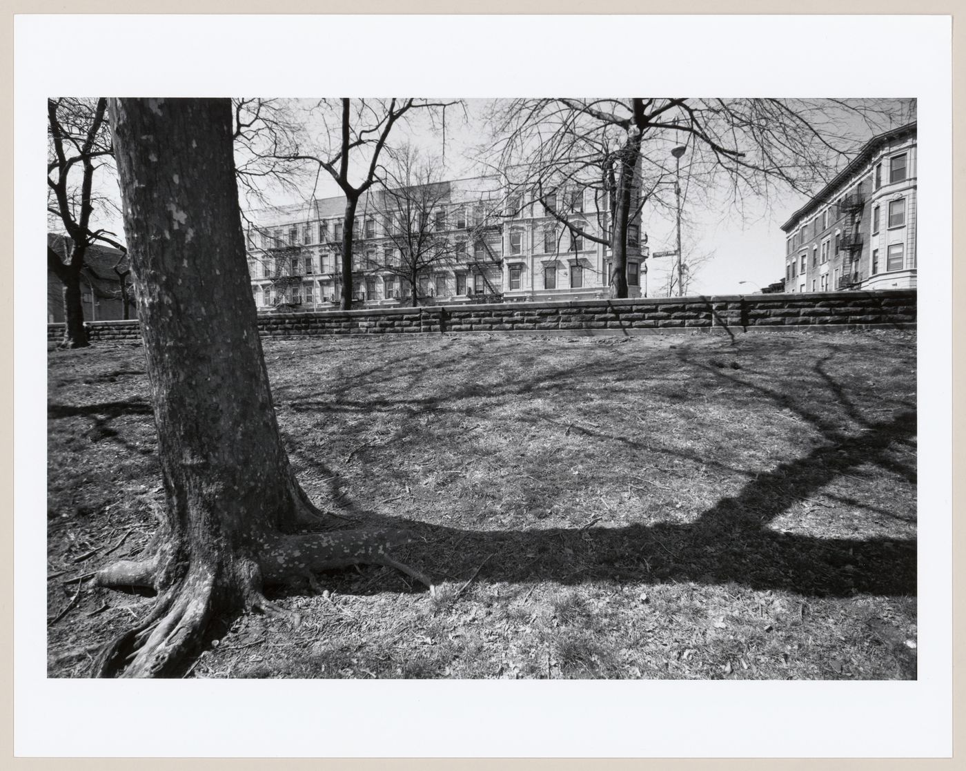 Prospect Park, Brooklyn, New York City, New York