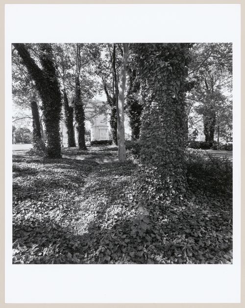 View looking towards the Soldier's and Sailor's Monument, Grand Army Plaza, Prospect Park, Brooklyn, New York City, New York