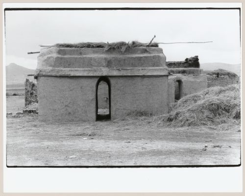 View of houses showing thatching, north of Kayseri [?], Turkey