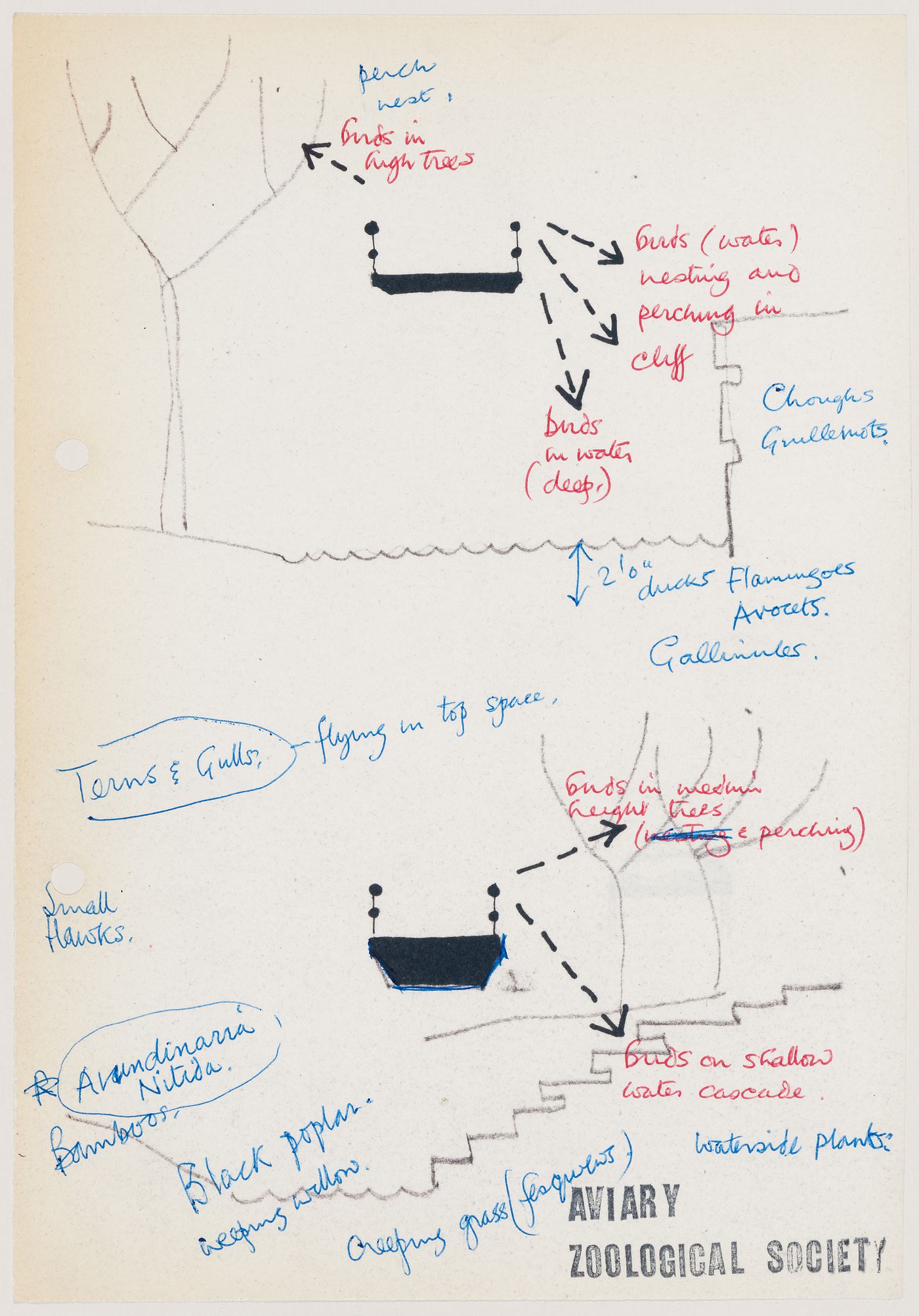 Sketches and notes describing bird activities observed from two vantage points on the internal walkway for the London Zoo Aviary