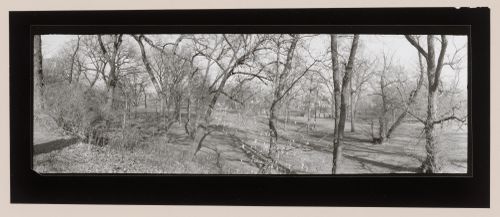 Panorama, Riverside Park, Riverside, Illinois