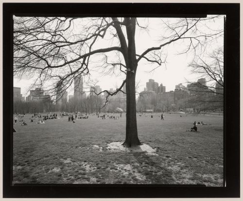 The Sheep Meadow, Looking south-west, Central Park, New York City, New York