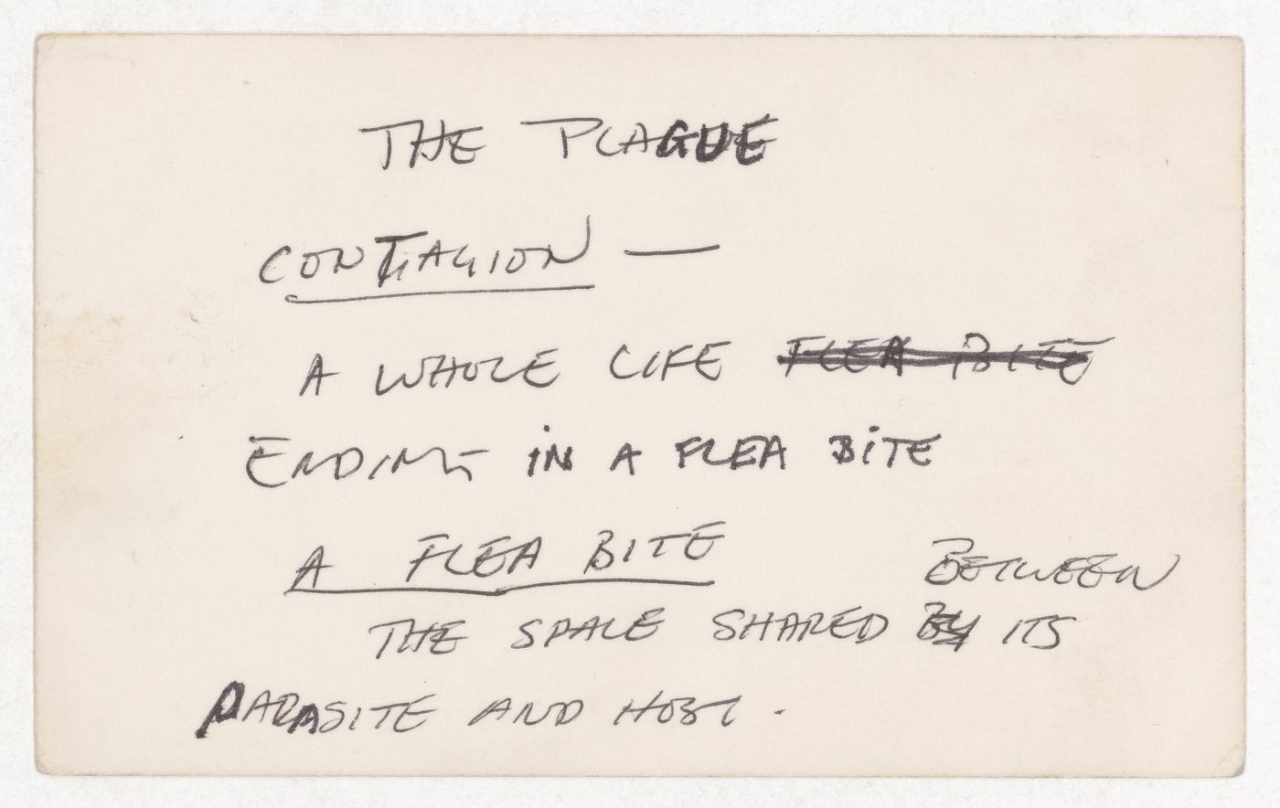 The plague contagion / A whole life ending in a flea bite / A flea bite / The space shared between its parasite and host
