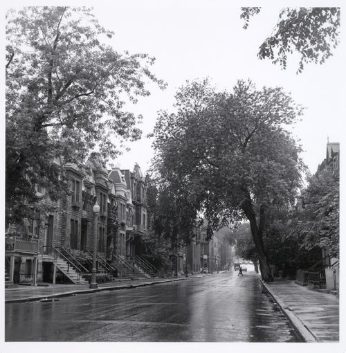 Milton Park Project: Looking north on Hutchison from mid-way between Milton and Prince Arthur, Montréal, Québec
