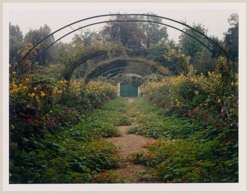 The main path carpeted with nasturtiums in the Fall, Monet Gardens, Giverny, France