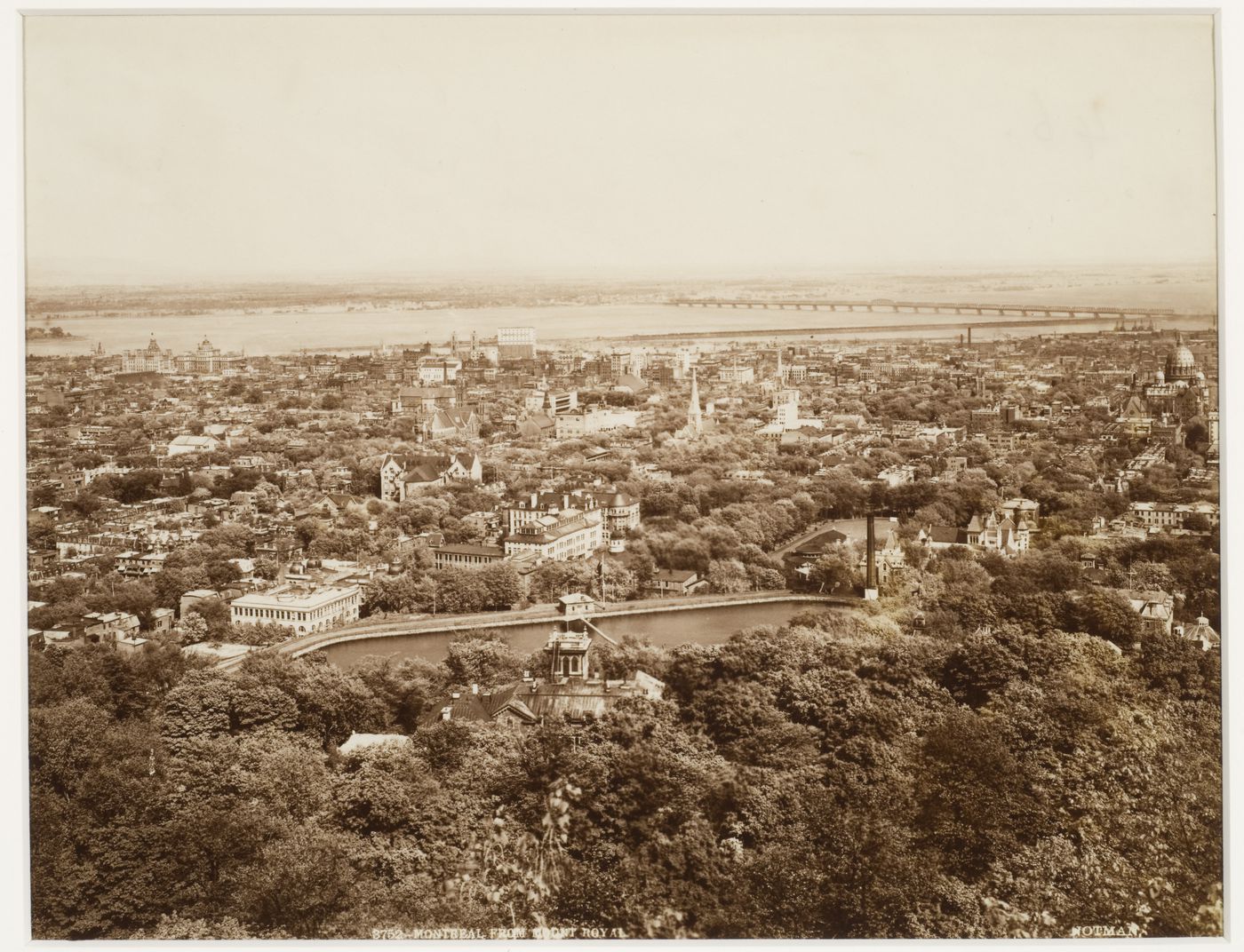 Montréal From Mount Royal