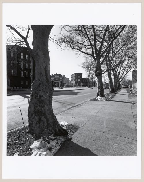 Eastern Parkway, Brooklyn, New York