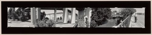 Peach tree under Canquinez Bridge, Crockett, Contra Costa, Co., CA, 1982, 5 part panorama