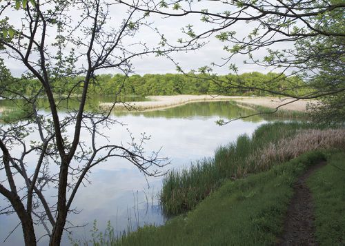 An Enduring Wilderness: Rouge Marsh Area at Rouge Beach Park, Toronto