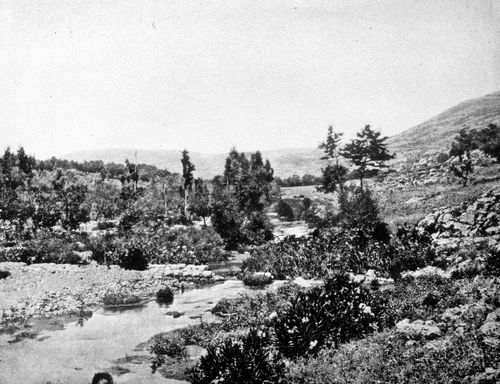 View of an archeological site near the Dead Sea, Israel