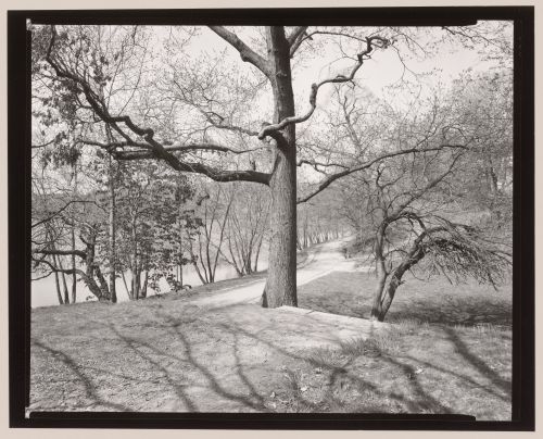 Jamaica Pond, Jamaica Park, Boston, Massachusetts