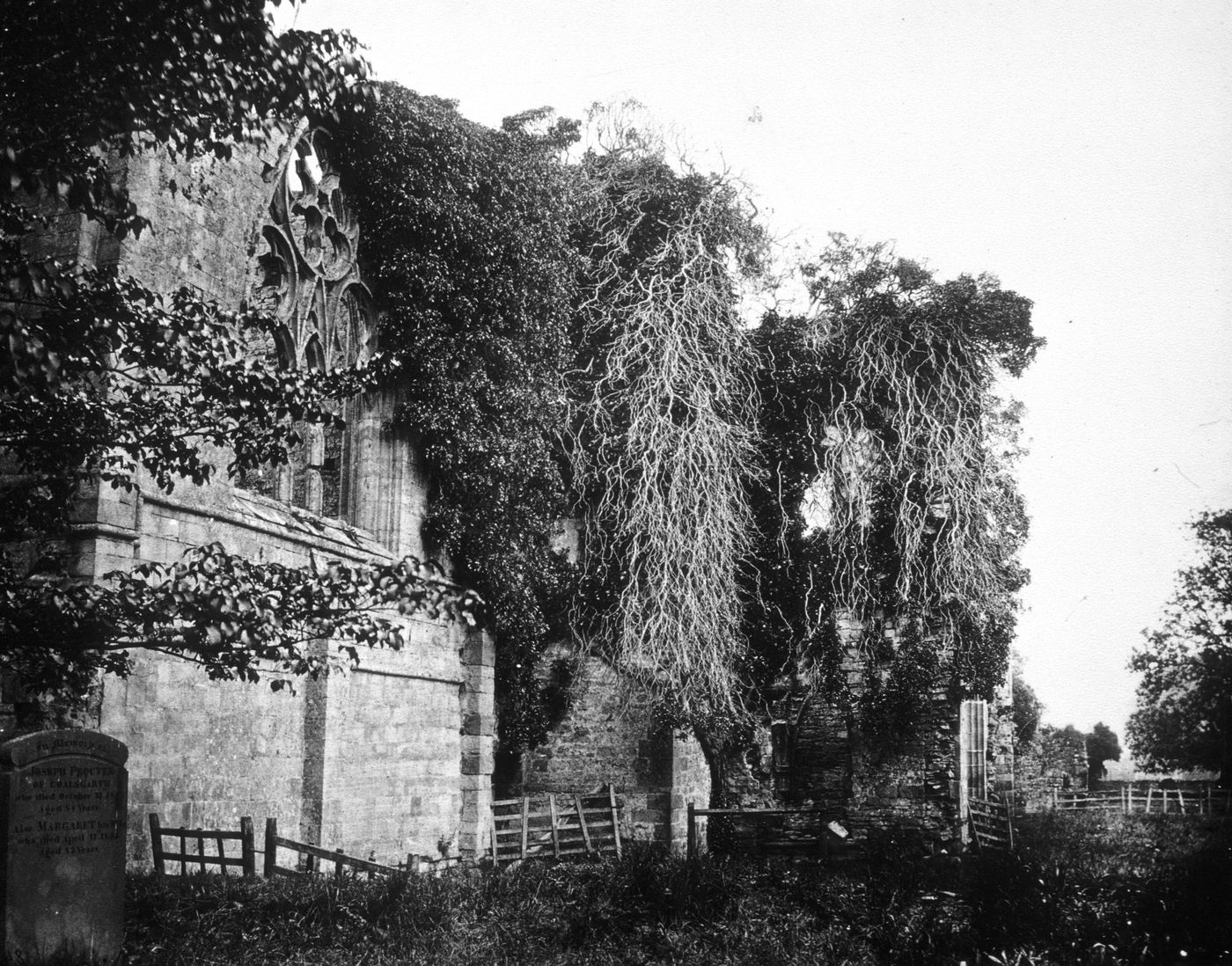 Plate from portfolio ''Gems of Photographic Art, Selected by F. Frith''