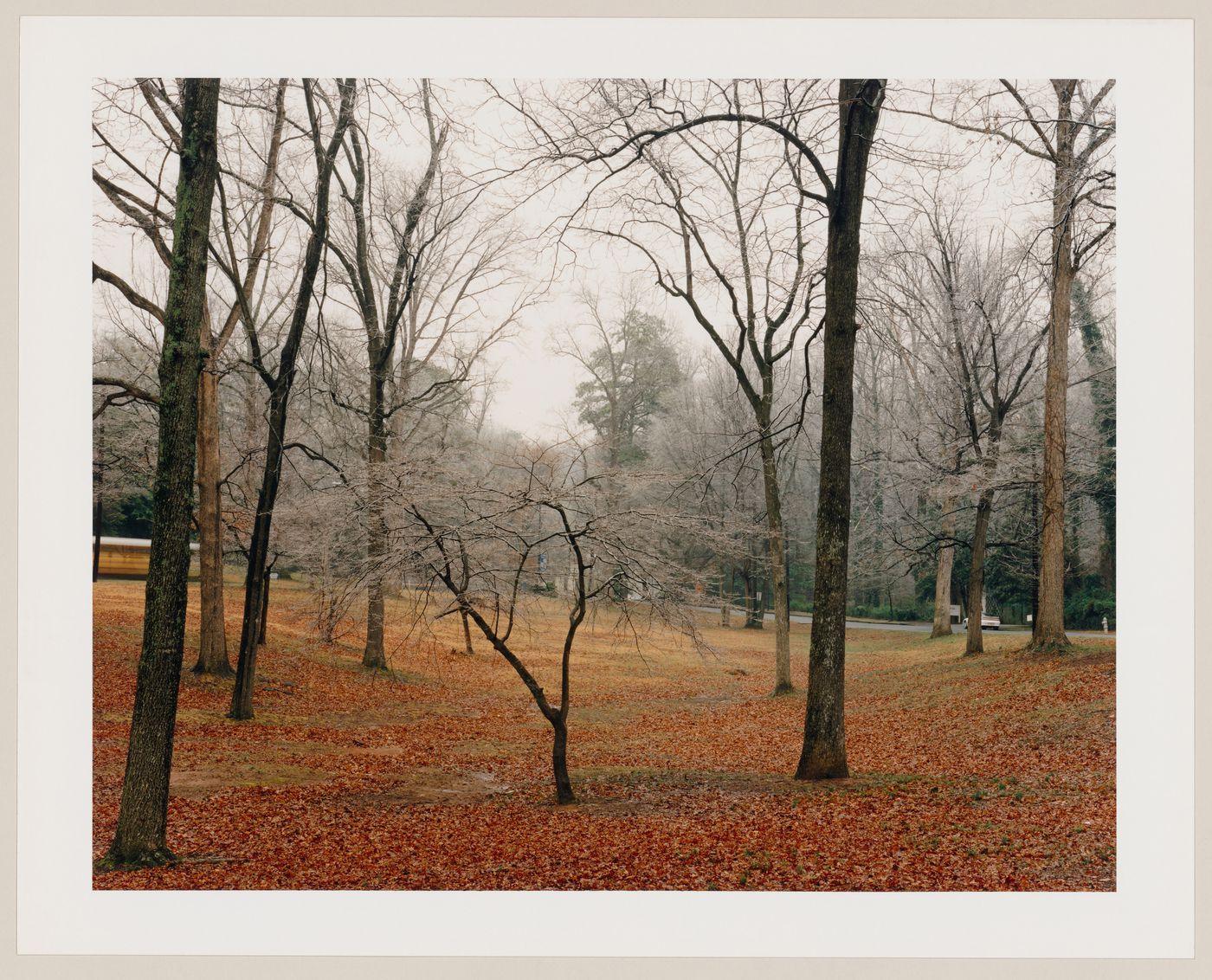 Viewing Olmsted: View looking east, Deepdene, Druid Hills, Atlanta, Georgia, United States