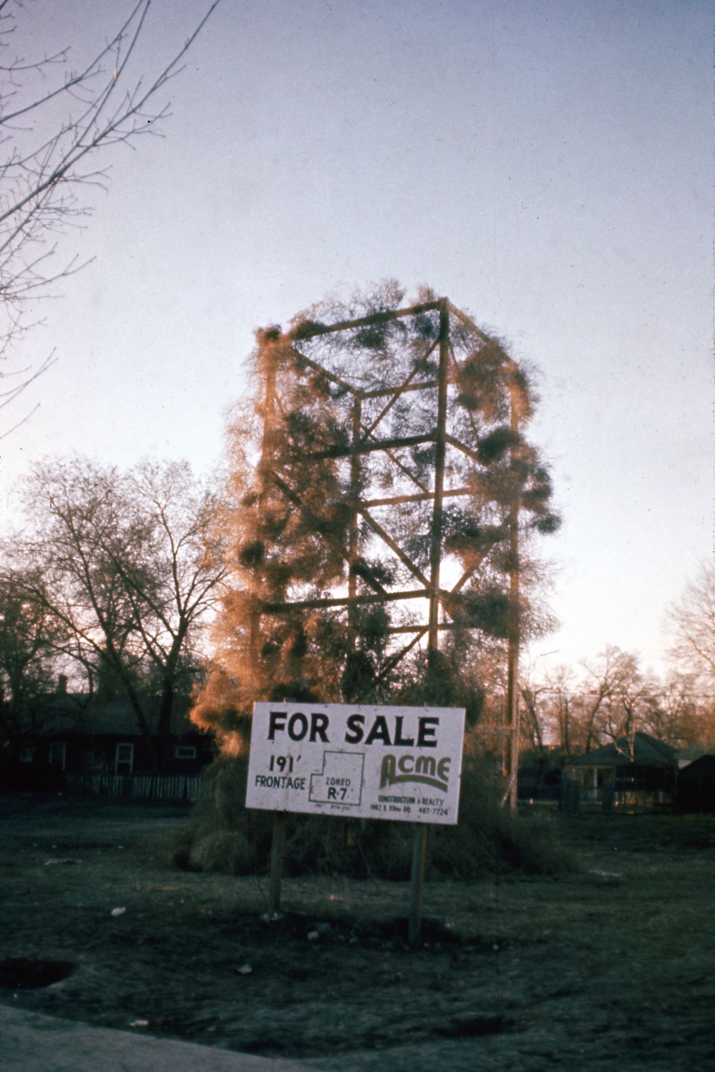 Photograph of Tumbleweeds Catcher