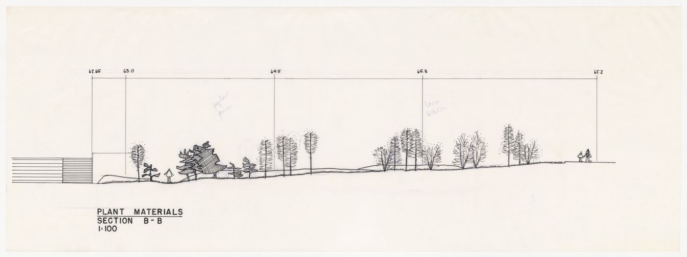 Section view of plant materials for National Gallery of Canada, Ottawa, Ontario