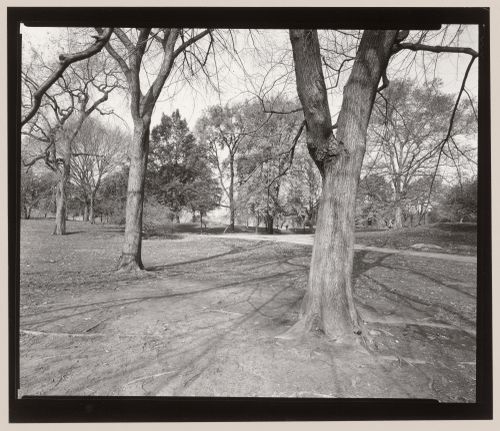 East Meadow, Central Park, Manhattan, New York City, New York