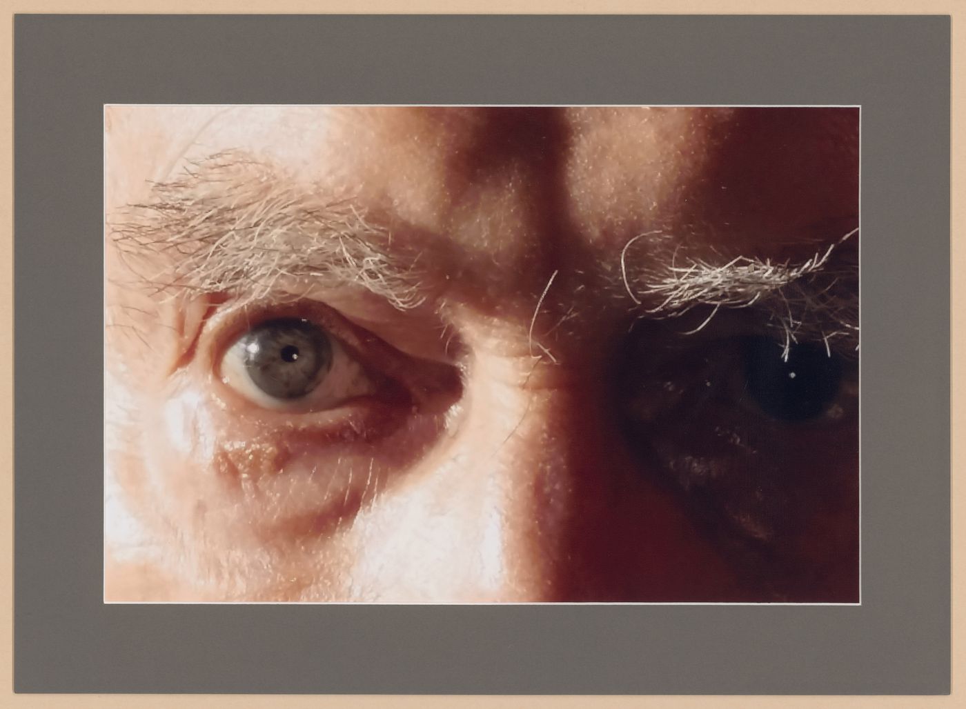Closeup portrait of Lionel March